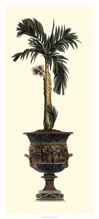 Framed Elongated Potted Palm II Print