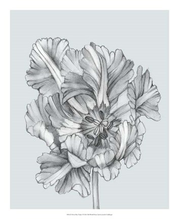 Framed Silvery Blue Tulips I Print