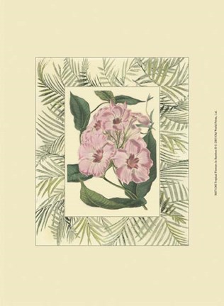Framed Tropical Flowers in Bamboo II Print