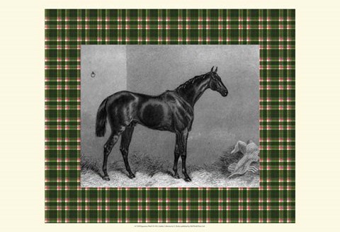 Framed Equestrian Plaid I Print