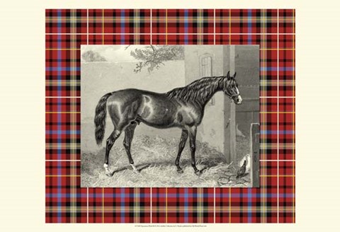Framed Equestrian Plaid III Print
