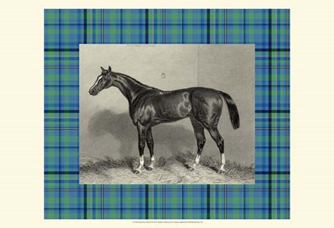 Framed Equestrian Plaid IV Print