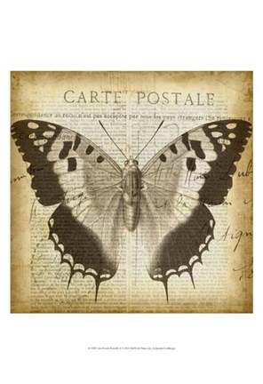 Framed Carte Postale Butterfly II Print