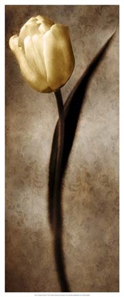 Framed Damask Tulip II Print