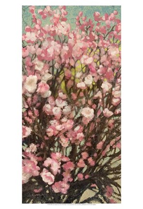 Framed Blossom Impressions II Print