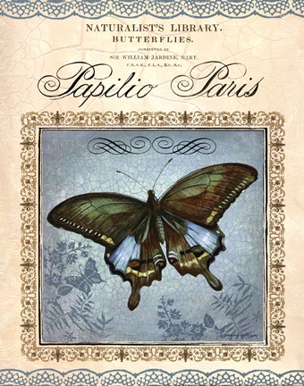 Framed Papilio Paris Print