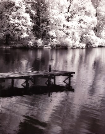 Framed Mint Springs Lake BW V Print
