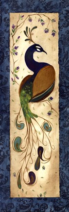 Framed Peacock III - mini Print