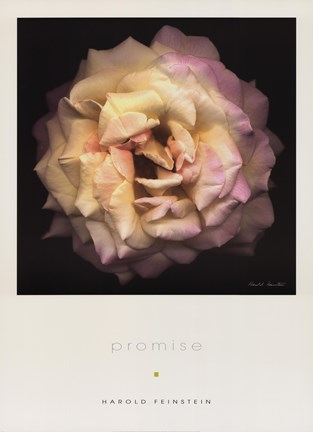 Framed Promise Print