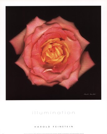 Framed Illumination Print