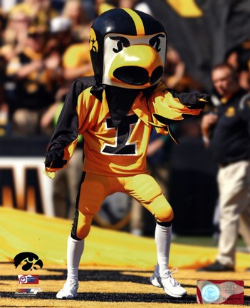 Framed Herky the Hawk, the University of Iowa Hawkeyes Mascot Print