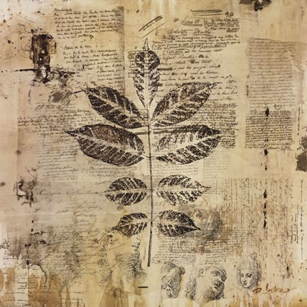 Framed Botanical Sketchbook II Print