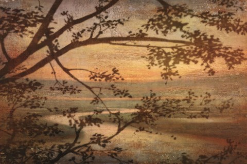 Framed Tranquil Landscape Print