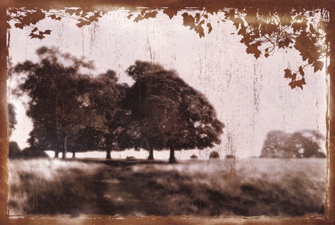 Framed Tree Meadow II Print