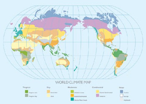 Framed World Climate Map Print