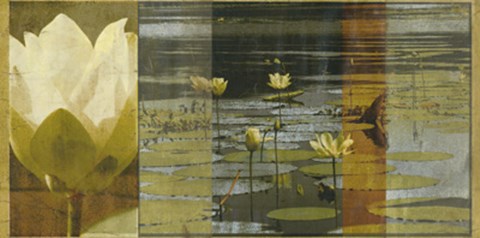 Framed Lotus Panel I Print