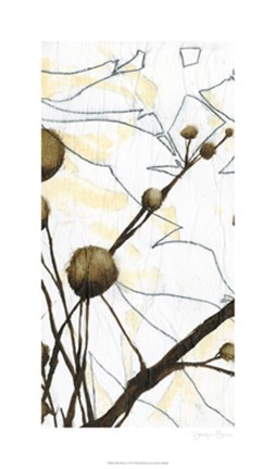 Framed Willow Blooms I Print