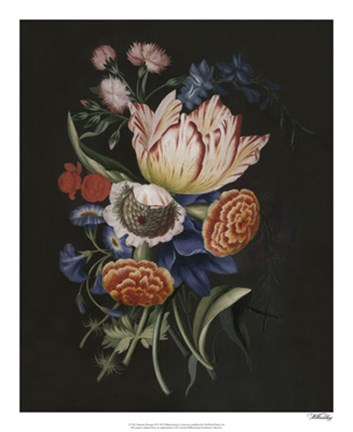 Framed Dramatic Bouquet II Print