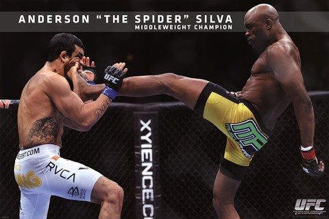 Framed UFC - Anderson Silva Print