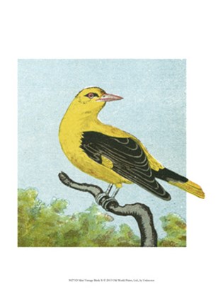 Framed Mini Vintage Birds X Print