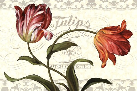 Framed Tulipa Botanica I Cream Print