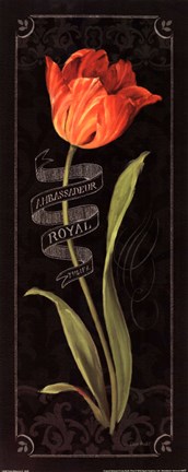 Framed Tulipa Botanica II Print