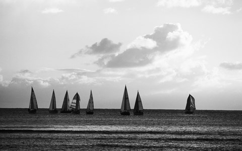 Framed Group of Sailboats Sailing in the Sea Print