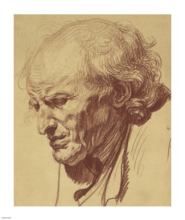 Framed Study of the Head of an Old Man Print