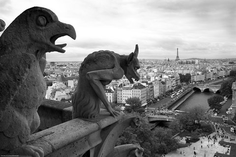 Framed Gargoyles Print