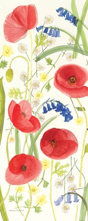 Framed Meadow Poppies II Print