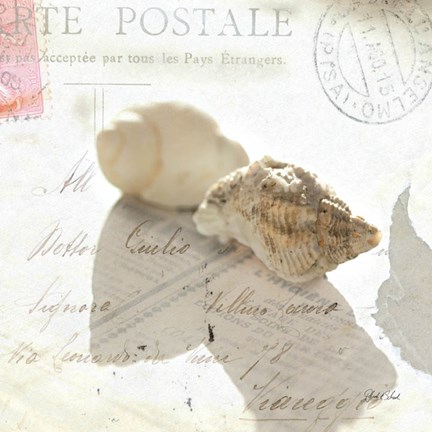 Framed Postal Shells I Print