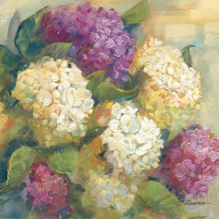 Framed Hydrangea Delight II Print