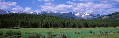 Framed Beaver Meadows Rocky Mountain National Park CO USA Print