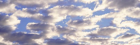 Framed Low angle view of clouds Print