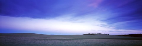 Framed Buffalo farm at dusk, Clear Creek Ranch, Utah, USA Print