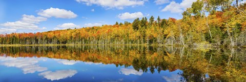 Framed Reflection of trees in a lake, Pete&#39;s Lake, Schoolcraft County, Upper Peninsula, Michigan, USA Print