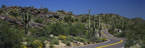 Framed Road Through The Desert, Phoenix, Arizona, USA Print