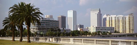 Framed Skyline Tampa FL USA Print