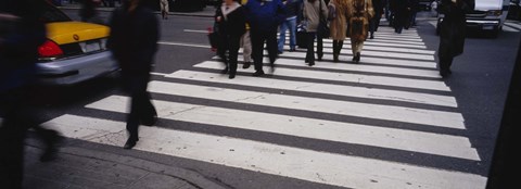 Framed Group of people crossing at a zebra crossing, New York City, New York State, USA Print