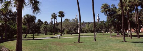 Framed Trees in a campus, University Of Tampa, Florida Print