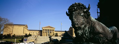 Framed Sculpture of a buffalo with a museum in the background, Philadelphia Museum Of Art, Philadelphia, Pennsylvania, USA Print