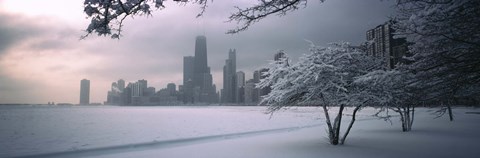 Framed Snow covered tree on the beach with a city in the background, North Avenue Beach, Chicago, Illinois, USA Print