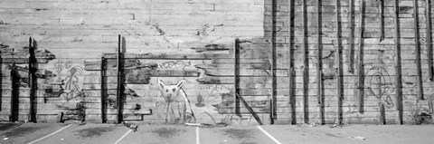Framed Painting Of A Dog On A Wall, San Francisco, California, USA Print
