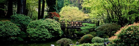 Framed Panoramic view of a garden, Japanese Garden, Washington Park, Portland, Oregon Print