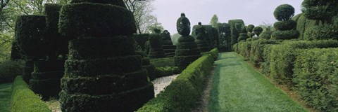 Framed Sculptures formed from trees and plants in a garden, Ladew Topiary Gardens, Monkton, Baltimore County, Maryland, USA Print