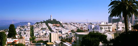 Framed High angle view of buildings in a city, Russian Hill, San Francisco, California, USA Print
