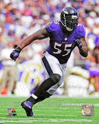 Framed Terrell Suggs 2013 in action Print