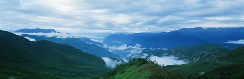 Framed China, Sichuan, Cloud Forest Print