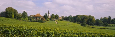 Framed WIne country with buildings in the background, Village near Geneva, Switzerland Print
