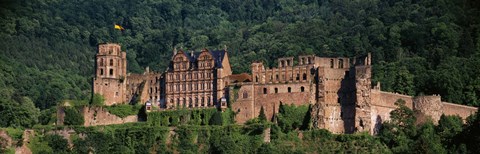 Framed Castle on a hillside, Heidelberg, Baden-Wurttemberg, Germany Print